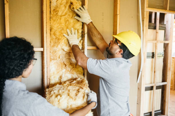 Professional Insulation Contractor in Springfield, MI