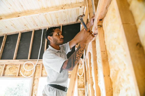 Best Insulation Replacement Services  in Springfield, MI